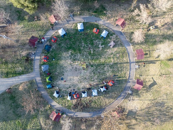 Exploration des Racines du Festival d'Avignon : Une Odyssée Temporelle au Cœur de l'Histoire